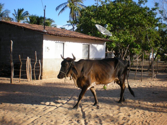 Brazil 2008 - 349